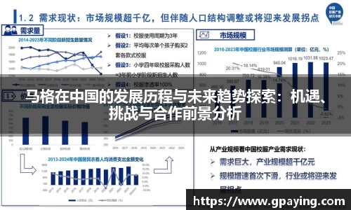 马格在中国的发展历程与未来趋势探索：机遇、挑战与合作前景分析