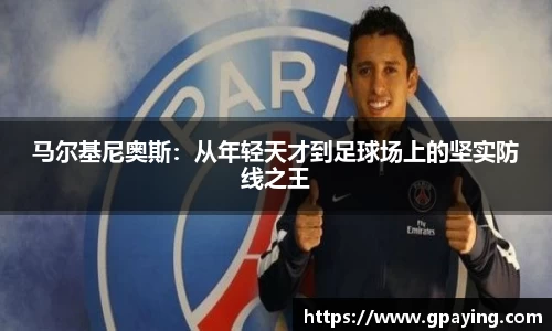 乐动LDSports体育官网
