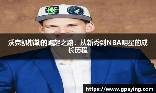 乐动LDSports体育官网