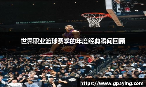 乐动体育官网