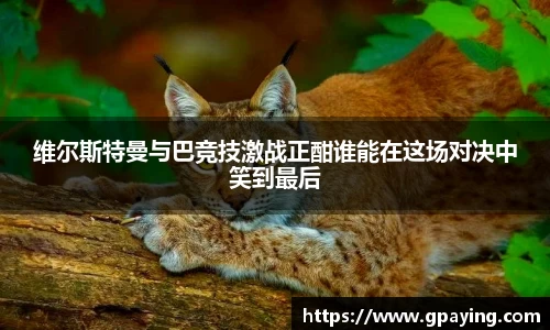 金沙集团